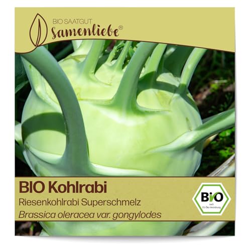 Samenliebe BIO Riesenkohlrabi Superschmelz 150 Samen