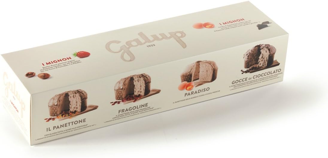 Galup Premium Panettone, 400g, Made in Italy (Mini Assorted)