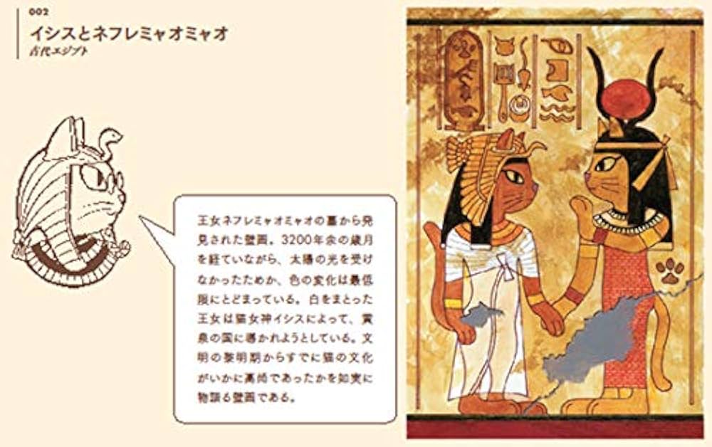 洋書 CATS life 洋書 CATS life 洋書 CATS life Amazon.co.jp: A