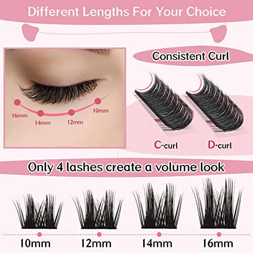 Lash Clusters - Image 3