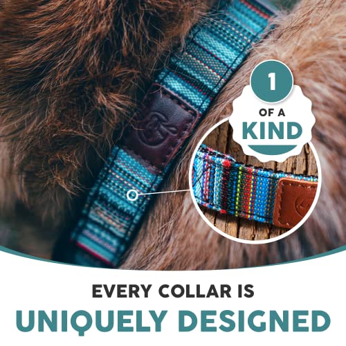 Embark Urban Hundehalsband, mittelgroße und große Hunde (Boho, Medium)