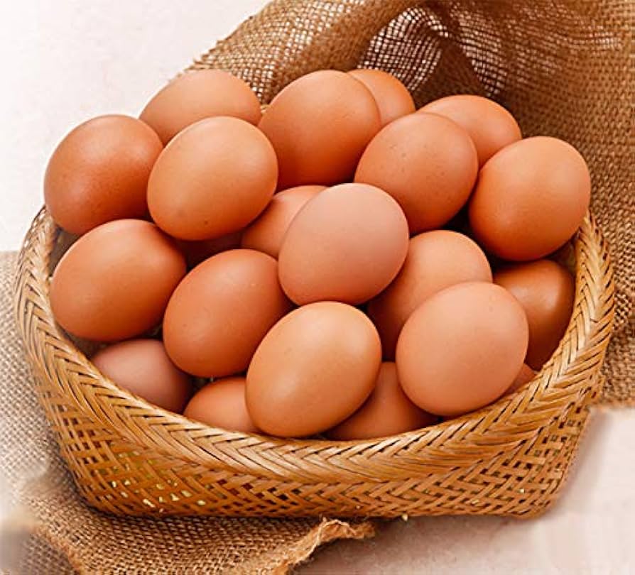 ［連絡用］鶏の卵 東京烏骨鶏 烏骨鶏 50個 有精卵 放し飼い 洗浄済み 送料無料