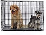La cage for chien comprend un plateau composite ABS durable et étanche qui ne tachera pas, ne se déformera pas, ne se corrodera pas et ne retiendra pas les odeurs d'animaux. Le fond de la cage for animaux de compagnie comporte un rebord intégré autour du périmètre, for contenir tout dégât qui pourrait se répandre à l'extérieur de la niche du chien. Cage for chien avec plateau cage for animaux de compagnie cage for chien en métal.