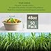 Homestockplus Large Disposable Bowl - Heavy Duty Paper Bowls - Made from Sugarcane and Bamboo Fiber, Microwave Safe - 48 Oz Paper Bowls for Soup, Salad, Ramen, Popcorn, etc.[50/Pack] 2