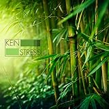  Meditation für Herz und Seele Freien Geist