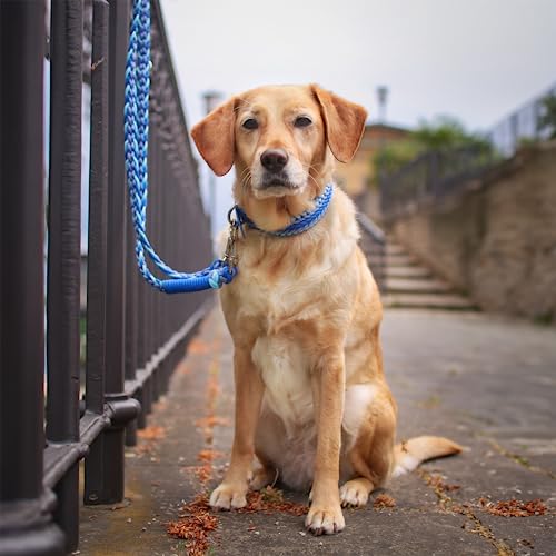 FairPaw Paracord Hundeleine geflochten - 1,8m Hunde Leine verstellbar mit 2 Karabiner, Leine Hund Große Hunde, Hundeleinen, Dog Leash, Führleine Hund, Bissfeste Hundeleine zum Umhängen, Trainingsleine