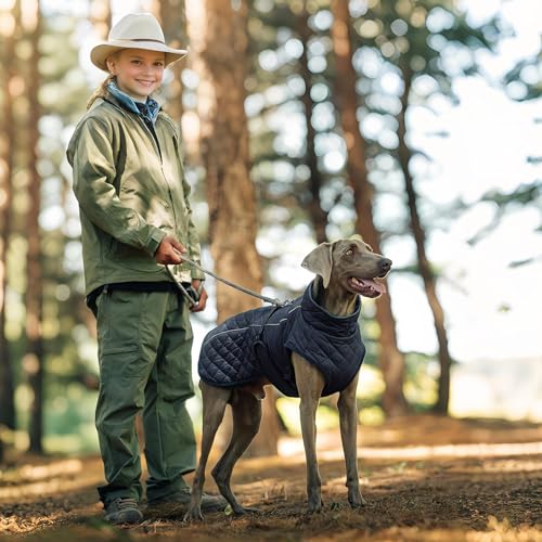 Abrigo para Perros impermeable con chaleco reflectante ajustable 3
