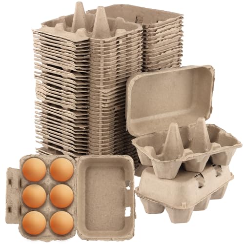 SOUJAP 40 PCS Egg Boxes Cardboard for 6 Eggs Half Dozen Paper Egg Cartons for Storing Chicken Eggs 15 x 10 x 7cm