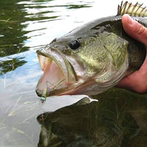 YAZHIDA Realistic Flies Fly Fishing Flies kit - Handmade Dry/Wet/Fly Fishing Lures