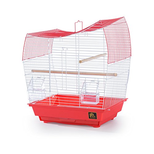 Image of Prevue Pet Products South Beach Wave Top Bird Cage, Lime Green (SP50081)