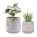 Produktbild Widdop Disney Forest Friends Set of 2 Bambi Planters - Indoor Usage