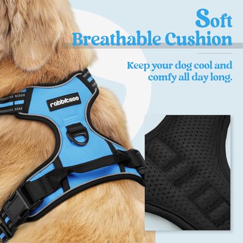 Image of rabbitgoo Dog Harness No Pull with 2 Leash Clips, Adjustable Soft Padded, Reflective Oxford No Choke Pet Vest with Easy Control Handle for Large Dogs, Blue, XL