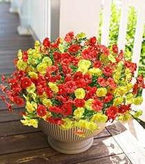 2 Mixed(6 Yellow, 6 Orange)