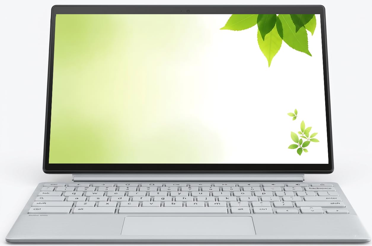 ASUS 10 inch Chromebook