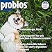Probios Chewable Tablets for Dogs, Daily Probiotic Supplment for Gut Health, Digestion & Immune Support, 45 Count (Pack of 2)