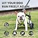 Upgraded Dog Wheelchair for Back Legs - Lightweight Mobility Cart for Small Breed Dogs with Disabled, Injured, or Arthritic Hind Legs - Includes High-Visibility Vest, Leash & Sling Lift -Medium
