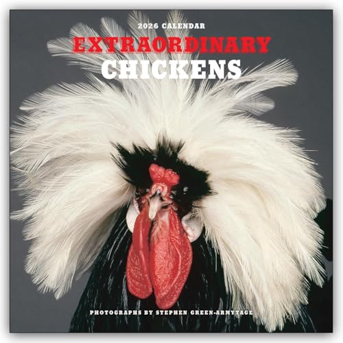 Extraordinary Chickens - Außergewöhnliche Hühner 2026 - Wandkalender - Original Harry N. Abrams Kalender [Mehrsprachig] [Kalender]