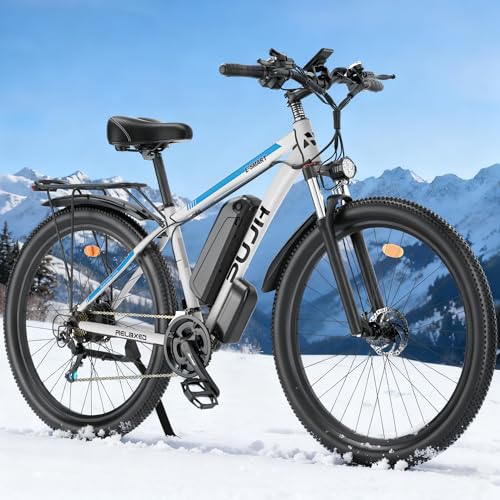 PUJH 1500W Electric Bike