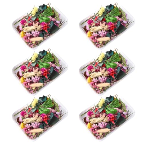 Flores secas para manualidades 6 cajas set miniatura 1