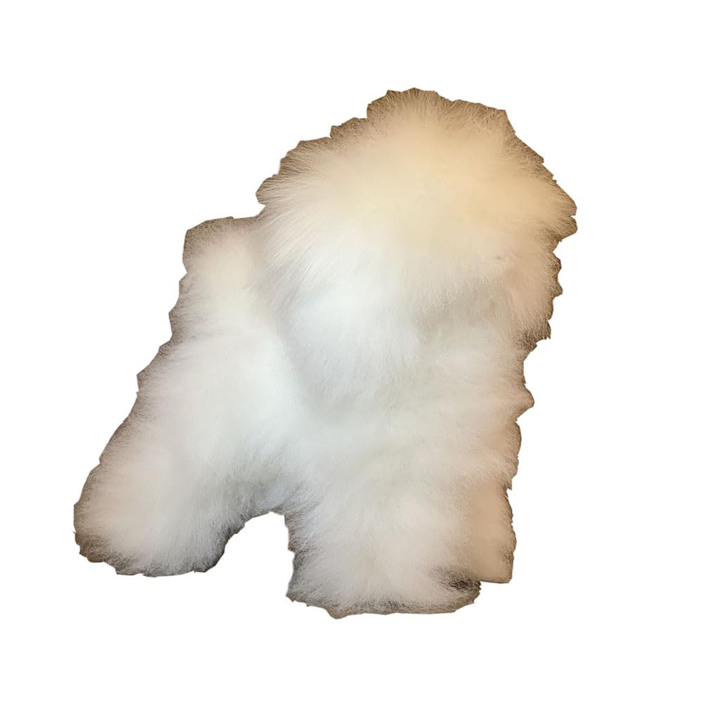 Amazon.co.jp: トリミング ビションフリーゼ 犬 マネキン