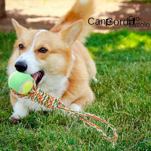 Generico Interaktives Quittio-Spielzeug – Springseil für Hunde, Muskelaufbau | Ziehseil für kleine Hunde im Innen- und Außenbereich