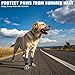 BINGPET 4Pcs Dog Socks to Prevent Licking Paws Double Sides Grips,Dog Shoes for Hot Pavement & Hardwood Floors Anti Slip,Traction Dog Booties and Paw Protectors for Small Medium Large Senior Dogs