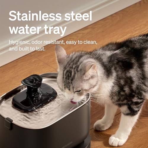 Smart Cat Water Fountain Stainless