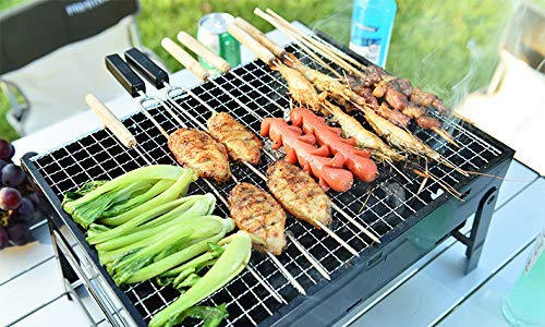 Portable TCG4 Folding Barbecue ColourTree BBQ Charcoal Grill