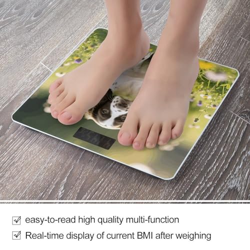 Báscula Digital de Baño para Peso Corporal 180 kg miniatura 5
