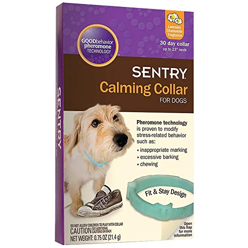 The Best Dog Calming Collars of 2022 Pet Life Today