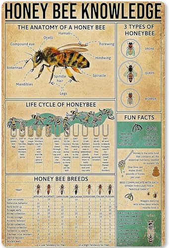 Honey Bee Knowledge Metal Tin Sign The Anatomy Of A Honey Bee Funny Poster Garden School Education Living Room Kitchen Bedroom Home Art Wall Decoration Plaque