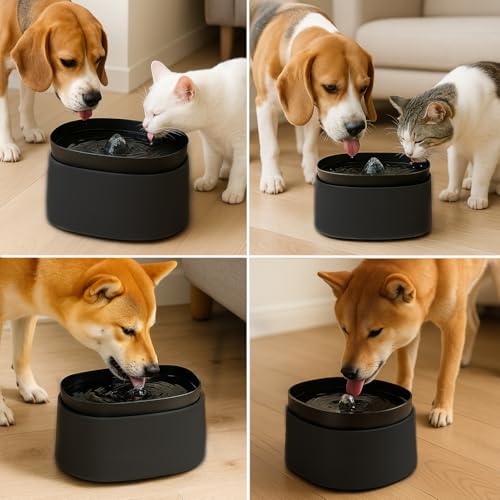 Image of Automatic Pet Water Fountain for Cats and Dogs | Ultra-Quiet | BPA-Free & Easy to Clean | Large Capacity Water Dispenser | Promotes Fresh Hydration | Indoor Fountain for Small Cats (Black)