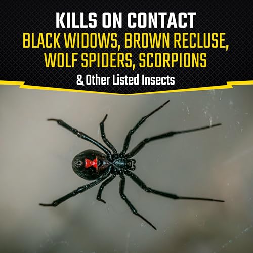 Image of Black Flag Spider and Scorpion Killer 16 Ounces, Aerosol Insecticide Spray, 12 Pack