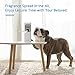 SVAVO Automatic LCD Fragrance Dispenser - Wall Mount/Free Standing ABS Auto Air Freshener Dispenser Programmable Aerosol Spray Perfume Dispenser (Grey, LCD)