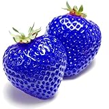 yifaeux 50 Unids/bolsa Semillas de Fresa Alta Germinación Productiva Fructificación Natural Semillas de Bayas Nutritivas Suministros de Granja Semillas de Fresa Azul