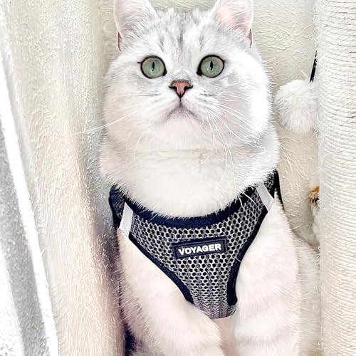 Voyager Step-In Air Hundegeschirr, Allwetter-Netzgewebe, reflektierend, kein Ziehen, Geschirr für kleine, mittelgroße Hunde, Katzen - Sicher mit Klettverschluss, Schnalle, Doppel-D-Ringe - Grau 2-Ton,