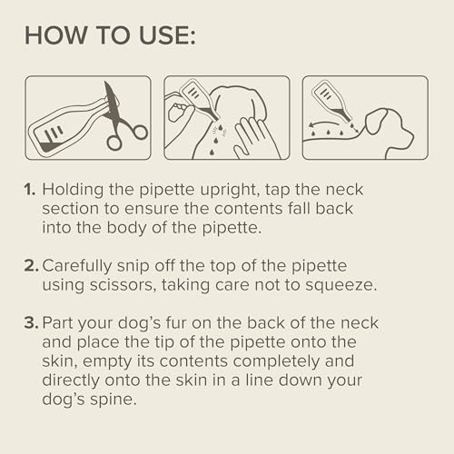 Beaphar - Dimethicare Line-On Flea & Tick Control for Small Dogs up to 15kg – 3 pipettes - Physically Immobilises Fleas, Ticks & Other Parasites - Pesticide-Free - For Small Dogs from 12 weeks old - Image 7
