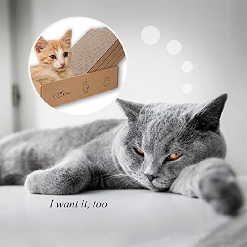 Image of Dog Trust Extra Large Cat Scratcher Cardboard, Scratch Pad with Cat Scratcher Box, Reversible Cardboard Refill Pad
