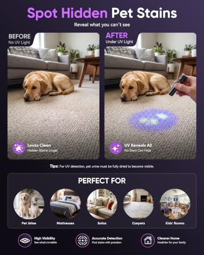 Image of 2Pack Black Light Flashlight,395nm Mini Zoomable UV LIGHT,USB-C Port | Portable But Powerful, USB Ultraviolet Flashlights for Pet Urine Detection, Home, Scorpions, Resin Curing, Leak, Fluorescent