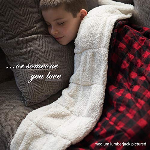 Calming Covers Weighted Blanket for Kids (6 lbs, 35 x 41, Good Night Moons)
