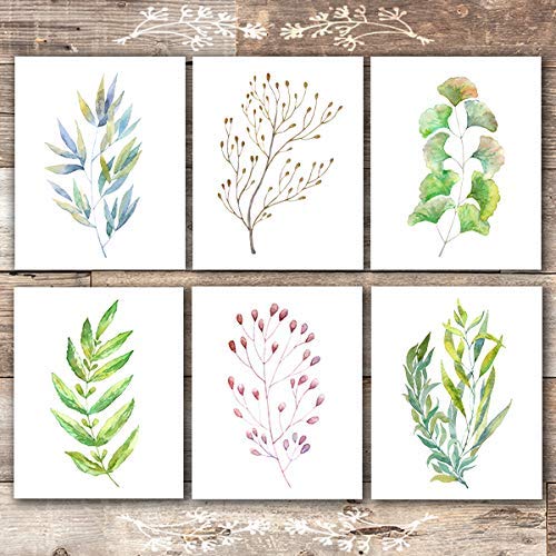 Colorful Botanical Watercolors (Set of 6) - Unframed - 8x10s
