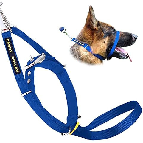 Canny Halsband Blue Gr��e 4 Dog Head Halsband stoppt ziehen Training Cover