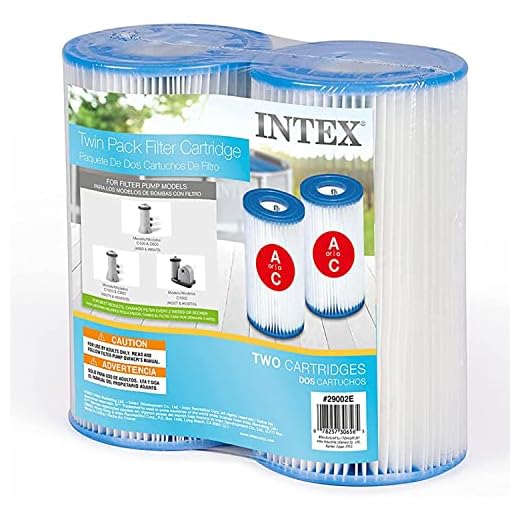 Intex Type A Filter Cartridge for Pools, Twin Pack