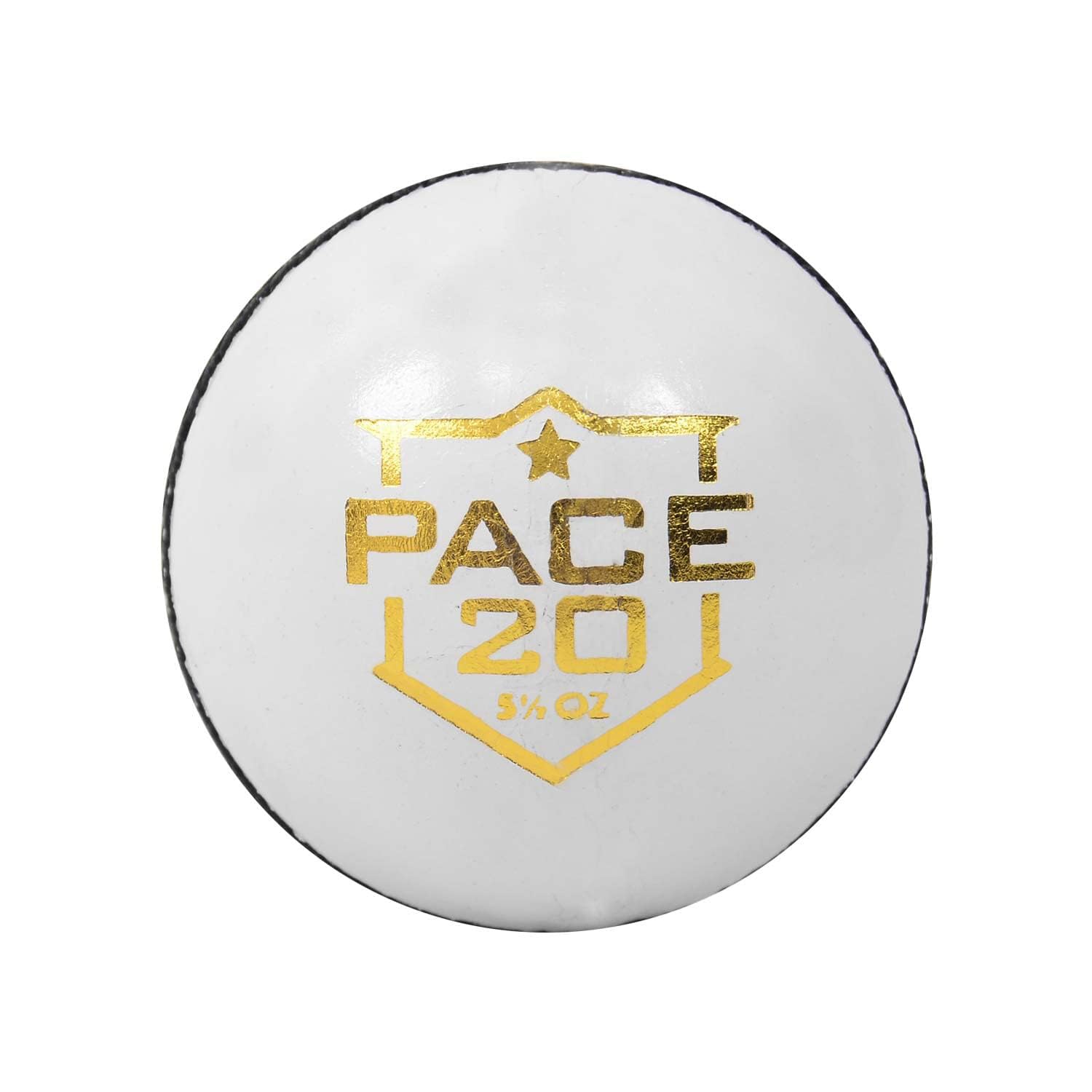 DSC Pace 20 Cricket Leather Ball (White) (B0BGKSGQQY) Amazon Price History, Amazon Price Tracker