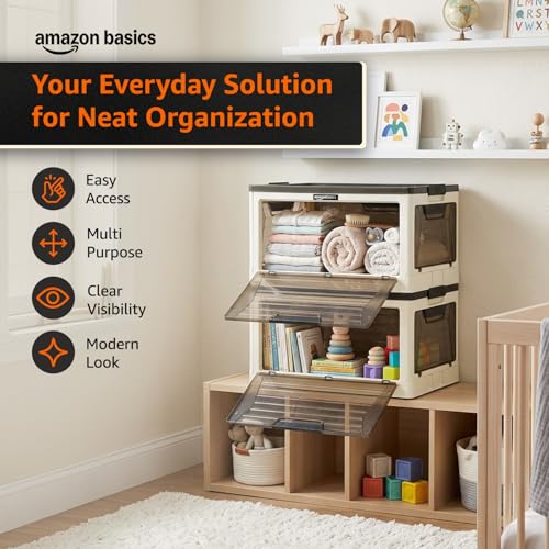 Image of Amazon Basics Plastic Wardrobe for Bedroom Drawer, Drawers Organisers, Cupboard Organizer & Wardrobe Organiser (2 Layer)