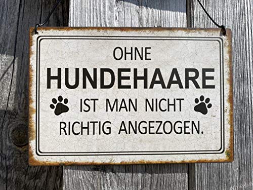 Rostalgie Metall Mini Schild - Ohne Hundehaare - 15 x 10 cm Wandschild Dekoration
