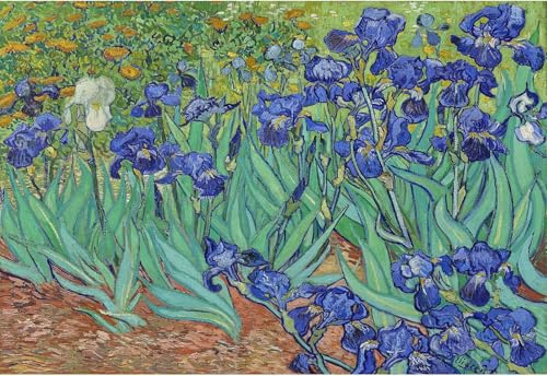 i38×26cmjCHengQiSM  ؐpY 300s[X SbzEIrises pY  G van Gogh  CeA v[g