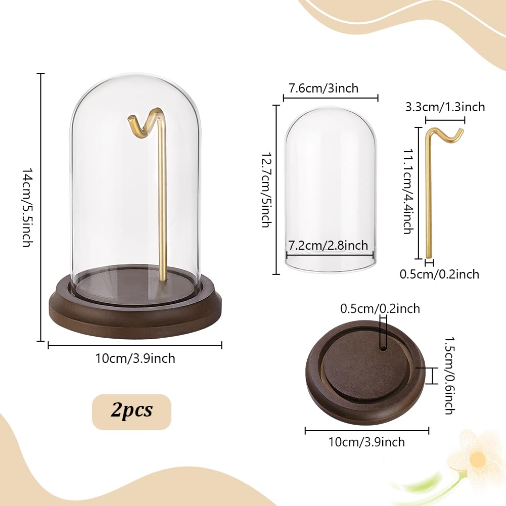 PH PandaHall 2pcs 10x14cm Présentoir de Montre de Poche Cloche Dôme avec Crochet en Métal Pot de Présentation de Montre Décoratif pour Montre de Poche Médailles Objets de Collection Photos