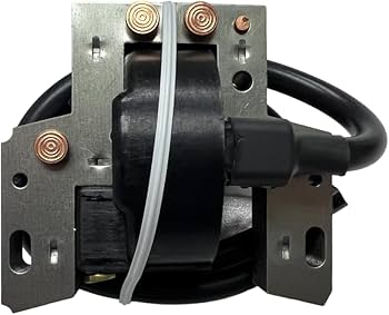Amazon.com: ENGINERUN 492341 Ignition Coil Module Magneto