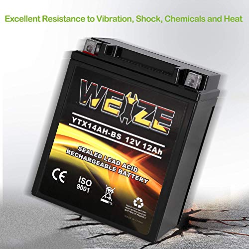 Weize YTX14AH-BS High Performance
